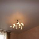 Матовые натяжные потолки, фото 1